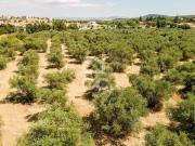 Terrenos Elvas Portalegre DS78372334