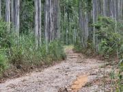 Terrenos em Alumínio com cachoeira no condomínio