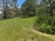 Terrenos en Aculco, Pueblo Mágico – Ideal para Cabañas o...