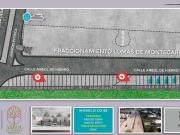 TERRENOS EN ARBOL DE HIERRO ADJUNTOS A LOMAS DE...