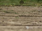 TERRENOS EN BARCELONA