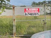 Terrenos en Carlos Julio Arosemena en Alquiler