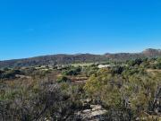 TERRENOS EN PAGOS RANCHO ENCINO DORADO TECATE