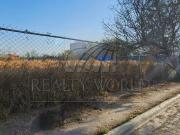 Terrenos en Renta en Solidaridad