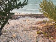 TERRENOS EN TELCHAC PUERTO