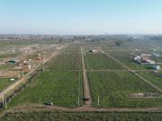 Terrenos en venta 200Mts2 Finca Altos del Plata, La Plata