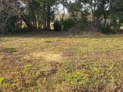 Terrenos en venta 250mts2 Lisandro Olmos Etcheverry