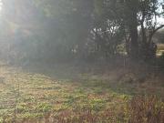 Terrenos en venta 300mts2 Lisandro Olmos Etcheverry