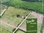 Terrenos en venta 600 mts2 Arturo Seguí, La Plata