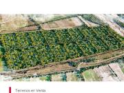 Terrenos en Venta
