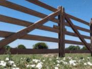 Terrenos en venta A partir 991mts2 hasta 1012mts2 Los Hornos