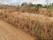 Terrenos en venta, Aldama, Tamaulipas