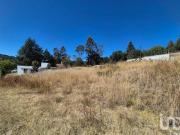 Terrenos en Venta Amaxac de Guerrero, Palo Huerfano