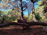 TERRENOS en VENTA Barrio LA RESERVA COSTA DEL ESTE