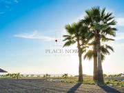 Terrenos en Venta, Col. Valle de San Quintin, Baja... Terrenos en Venta, Col. Valle de San Quintin, Baja...