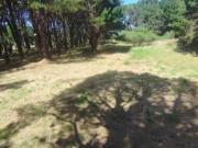 Terrenos en venta conjunta 750Mts2 Chapadmalal