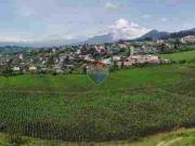 Terrenos en venta, cutuglagua