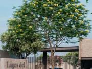 Terrenos en venta desde $616,000, lotes desde 8x22 m2