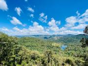 Terrenos en Venta: Despierta donde el bosque te saluda