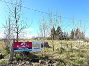 TERRENOS EN VENTA DOMSELAAR