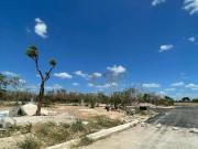 TERRENOS EN VENTA EN ALURA CHOLUL MERIDA YUCATAN