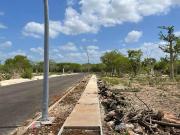 TERRENOS EN VENTA EN ALURA CHOLUL MERIDA YUCATAN