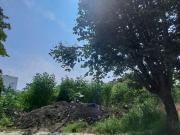 Terrenos en Venta en Burgos Bugambilias: Inversión...