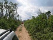 TERRENOS EN VENTA EN CANCUN EN LEONA VICARIO CARRETERA...