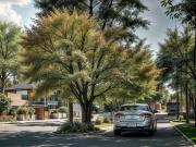 Terrenos en Venta en Gran Campanario, Aqu? comienza una...