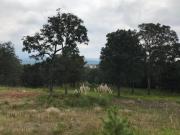 Terrenos en VENTA en Jilotzingo