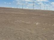 Terrenos en Venta en La Joya