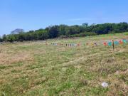 TERRENOS EN VENTA EN LAGARTERA 1° SECCIÓN