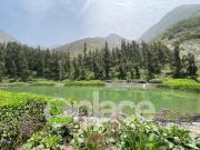 Terrenos en Venta en las mejores ubicaciones en el...