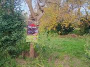 Terrenos en VENTA EN NUEVO SECTOR! SOBRE SUIZA, SOBRE...