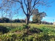 TERRENOS EN VENTA EN PERGAMINO