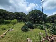 Terrenos en venta en privado campestre, rumbo a Pátzcuaro