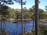 Terrenos en Venta en Residencial Campestre Bosques...
