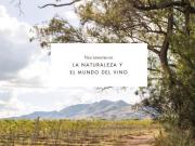 TerrenoS en Venta en Residencial Tierra Tinta