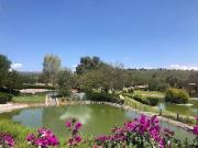 TERRENOS EN VENTA EN SAN MIGUEL ALLENDE FRACC. LA PRESITA