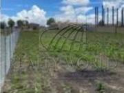 Terrenos en Venta en Santa Cruz