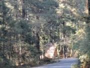 Terrenos en Venta en Villa Alpina