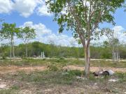 Terrenos en venta entrega inmediata Cholul M?rida Yucat?n