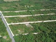 TERRENOS EN VENTA MOTUL NORTE, CARRETERA TELCHAC PUERTO