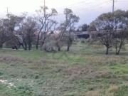 Terrenos en Venta, San Pedro Tultepec, Lerma