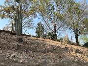 Terrenos en venta, ubicados en La Estadía Cod. VTE814