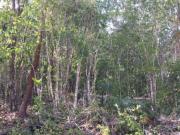 Terrenos escriturados en Colonia Doctores