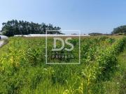 Terrenos Esposende Braga DS80275650