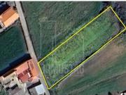 Terrenos Estarreja Estarreja DS97119001