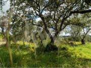 Terrenos Faro Algarve DS79502502