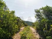 Terrenos Faro Algarve DS90999332
